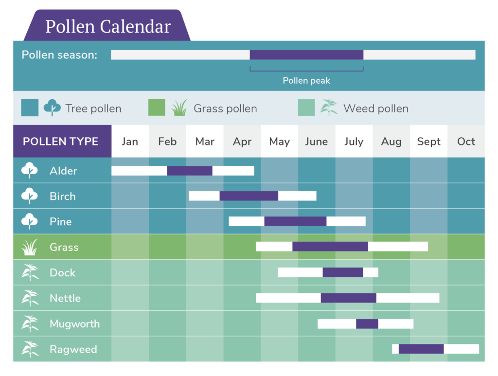 Allergy Season Pollen Calendar