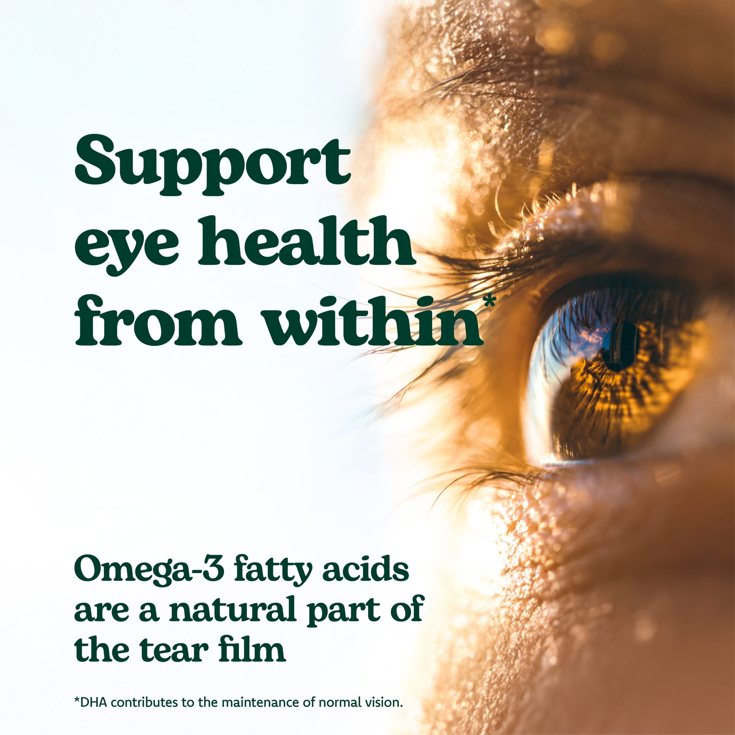 Eyetamins OmegaEye Advanced (formerly Actase OmegaEye Advanced)