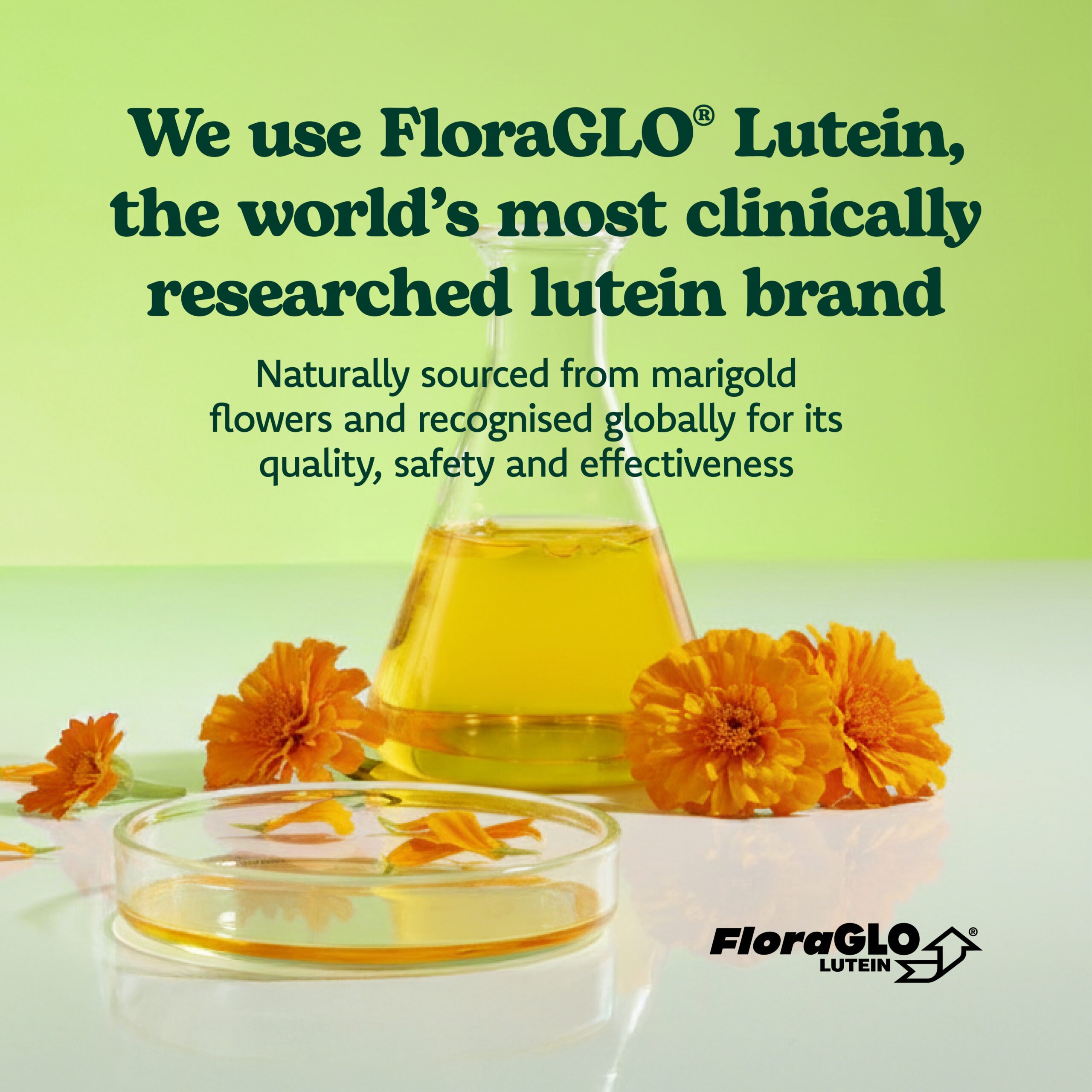 Eyetamins Vision Support (formerly Actase Lutein ZA)