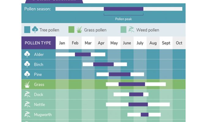 Pollen Calendar Thumb